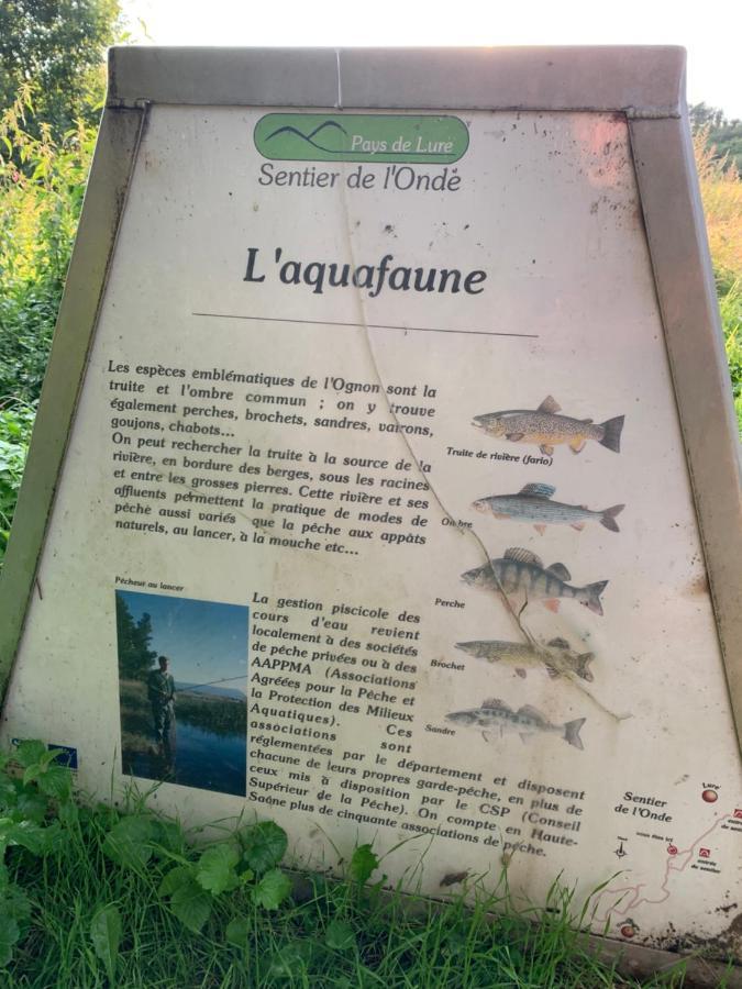 Les Jardins D'Elise, Calme Et Verdure A Lure Lure  Kültér fotó