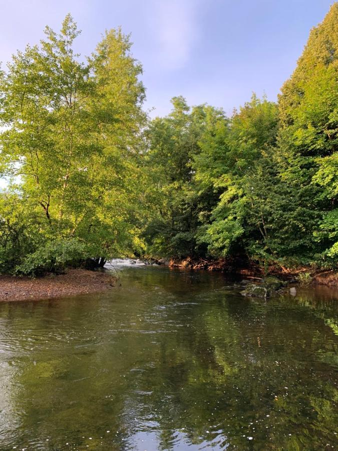Les Jardins D'Elise, Calme Et Verdure A Lure Lure  Kültér fotó